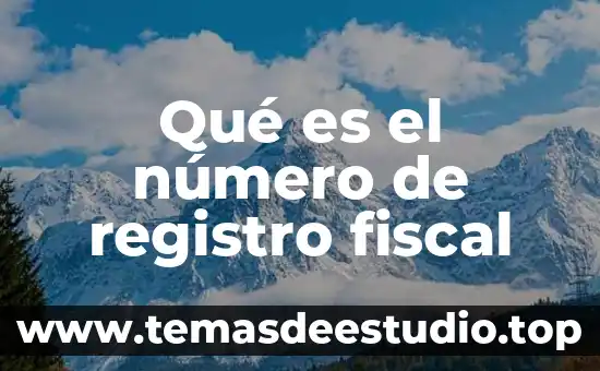 Que es el numero prima 3 Qué es el número de registro fiscal