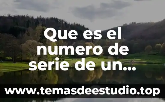 Qué es lada en número de teléfono móvil 8 Que es el numero de serie de un movil