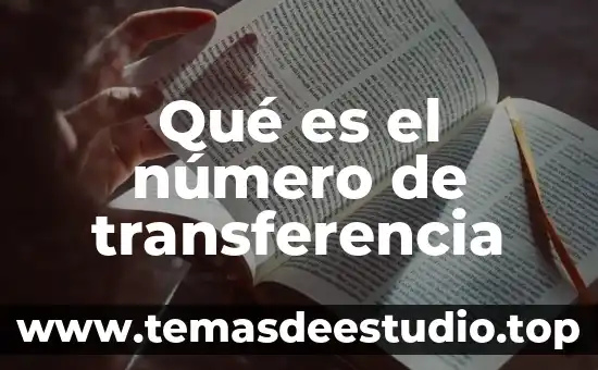 Qué es número gráfico 3 Qué es el número de transferencia