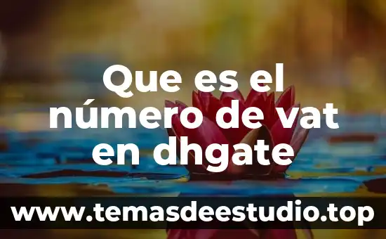 Que es el sistema m.k.s y usocomunes 8 Que es el número de vat en dhgate