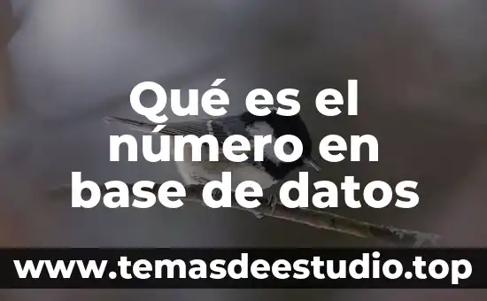 Qué es una factorización y cómo factorizar un número 5 Qué es el número en base de datos
