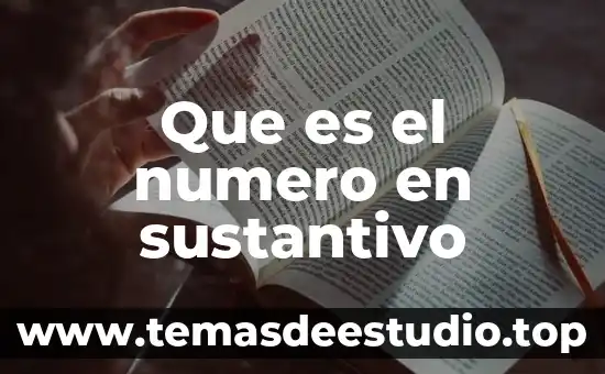 Qué es el número de registro de Avon 4 Que es el numero en sustantivo