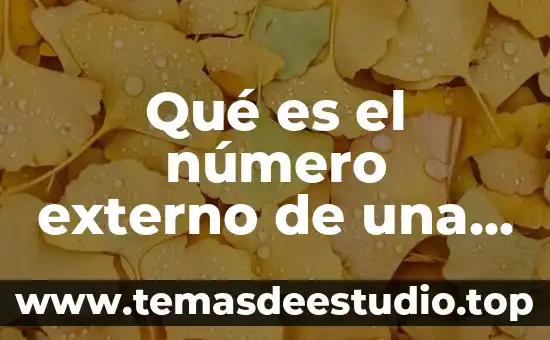 Que es interno y externo 6 Qué es el número externo de una dirección