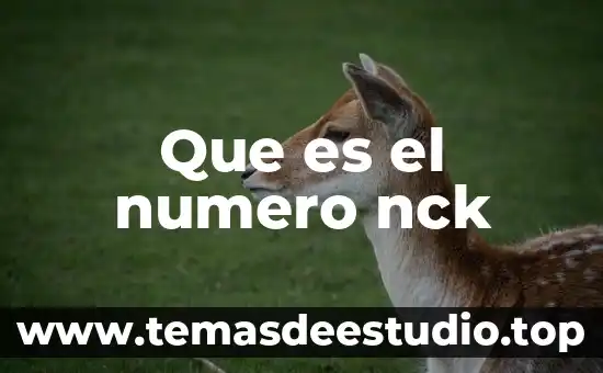 Qué es un número homogéneos 7 Que es el numero nck