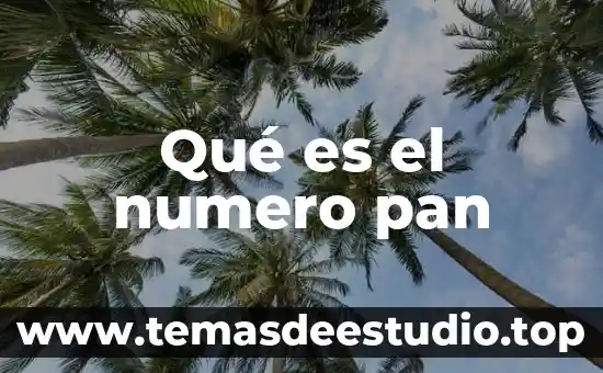 Qué es el número de embarazos 3 Qué es el numero pan