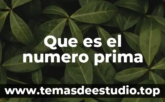 Qué es el número de registro fiscal 4 Que es el numero prima