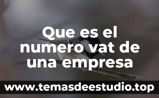 Para que es útil conocer el número de Reynolds 4 Que es el numero vat de una empresa