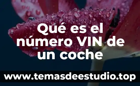 Por que es importante la formacion permanente del docente 8 Qu茅 es el n煤mero VIN de un coche