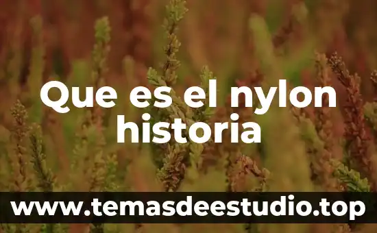 Qué es el tercer estamento en historia 8 Que es el nylon historia