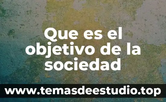 Que es centrar la informacion 3 Que es el objetivo de la sociedad