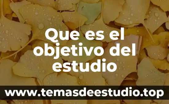 Que es el objetivo del estudio