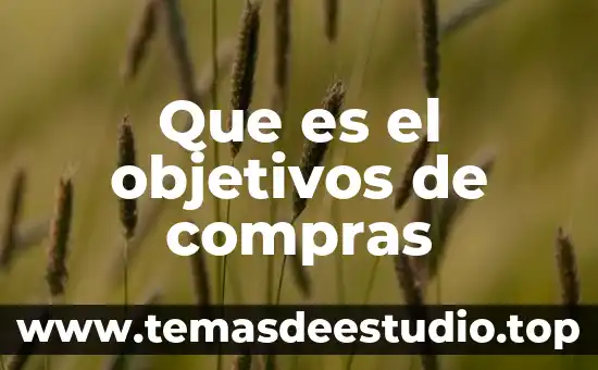 Qué es la ubicación de objetivos 4 Que es el objetivos de compras