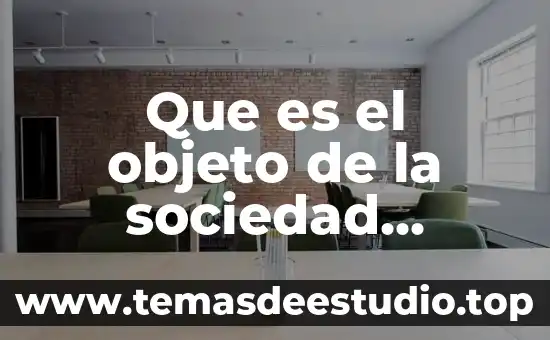 Que es el objeto de la sociedad mercantil papeleria