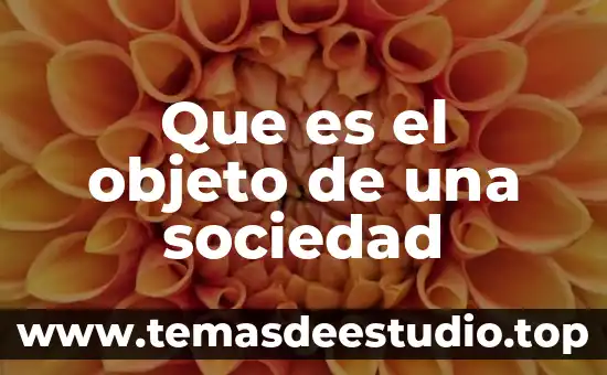Que es el objeto de una sociedad