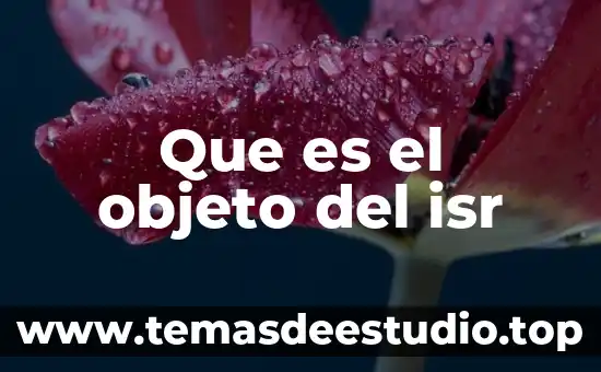 Que es el objeto del isr