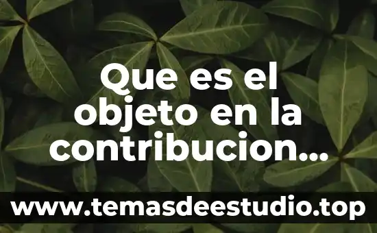 Qué es una figura y objeto 6 Que es el objeto en la contribucion tributaria
