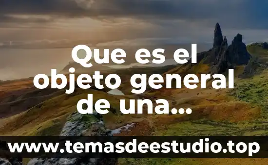 Que es el objeto general de una empresa ejemplos
