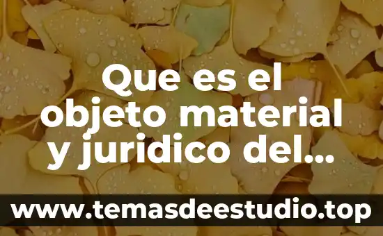 Qué es la construcción de la teoría del delito 8 Que es el objeto material y juridico del delito