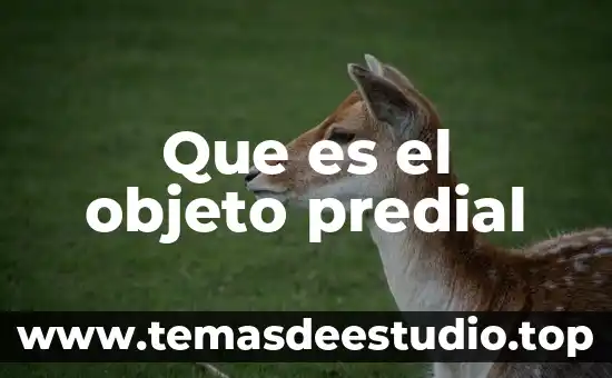 Que es el objeto predial
