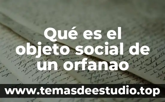 Qué es el objeto social de un orfanao