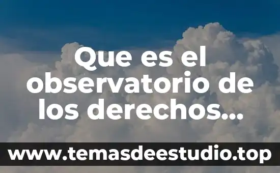Qué es la cdn en derechos humanos 3 Que es el observatorio de los derechos humanos