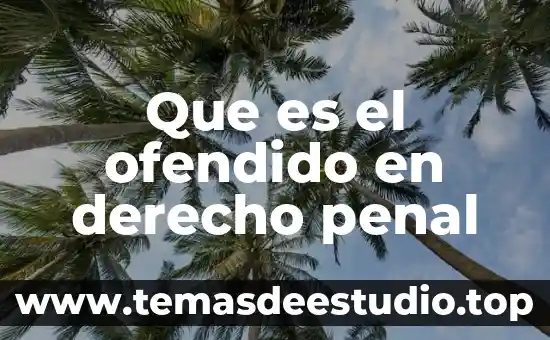 Que es derecho penal segun zaffaroni 3 Que es el ofendido en derecho penal