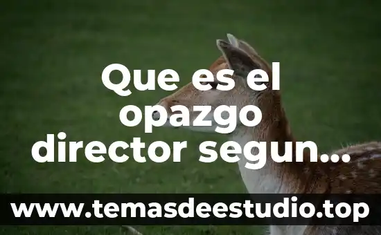 Por que es importante tener habilidades para ser director 8 Que es el opazgo director segun autor