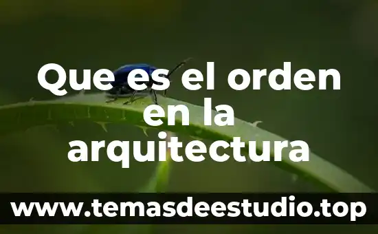 Que es la arquitectura florentina 5 Que es el orden en la arquitectura