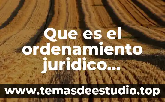 Ley de economía del conocimiento que es 3 Que es el ordenamiento juridico efectivo