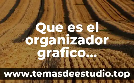 Qué es telaraña organizador gráfico 3 Que es el organizador grafico telaraña