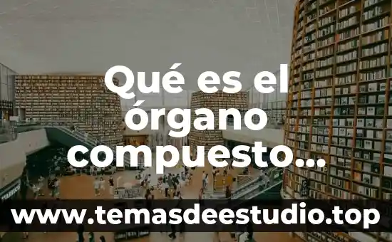 Cubo de hielo que es un elemento compuesto o mezcla 5 Qué es el órgano compuesto color