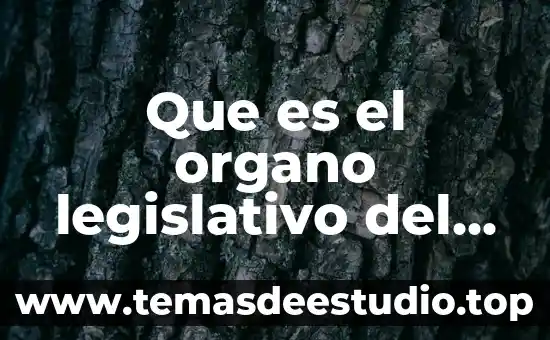Que es ser estado 7 Que es el organo legislativo del estado plurinacional