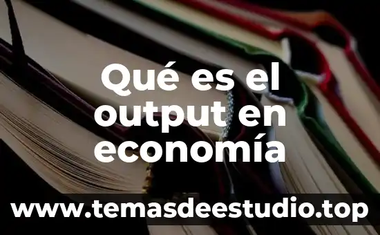 Qué es público en economía 3 Qué es el output en economía