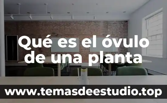 Qué es una hoja de planta 7 Qué es el óvulo de una planta