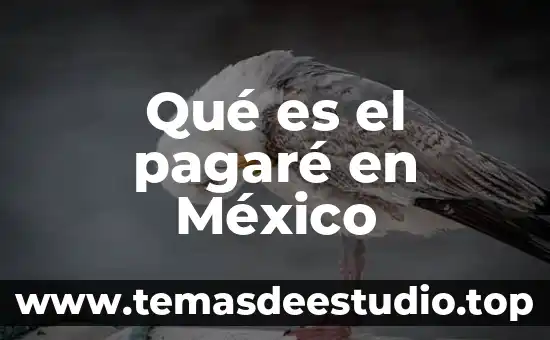 Qué es el pagaré en México
