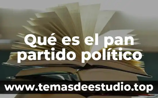 Qué es fonética elemental 4 Qué es el pan partido político