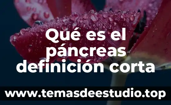 Que es el metodo cientifico definicion corta 6 Qué es el páncreas definición corta