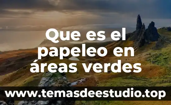 Para que es bueno los jugos verdes 4 Que es el papeleo en áreas verdes