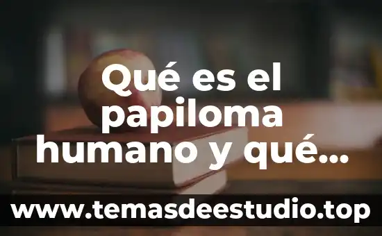 Que es lo que le conviene comer al ser humano 7 Qué es el papiloma humano y qué enfermedades causan