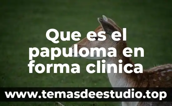 Que es la historia clinica de una enfermedad 4 Que es el papuloma en forma clinica