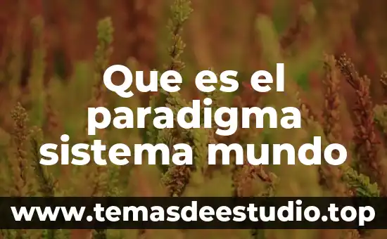 Que es lo que viaja mas aprisa en el mundo 5 Que es el paradigma sistema mundo