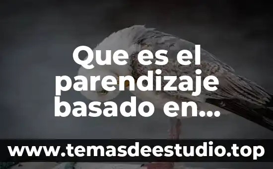 Qué es el amor argumento basado en datos 5 Que es el parendizaje basado en problemas