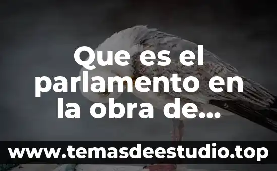 Que es una obra de teatro dramatica y sus caracteristicas 8 Que es el parlamento en la obra de teatro