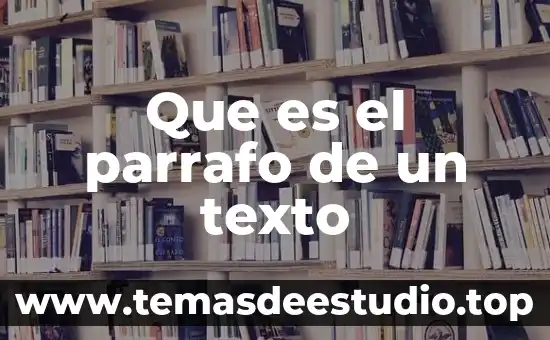 Que es el parrafo de un texto