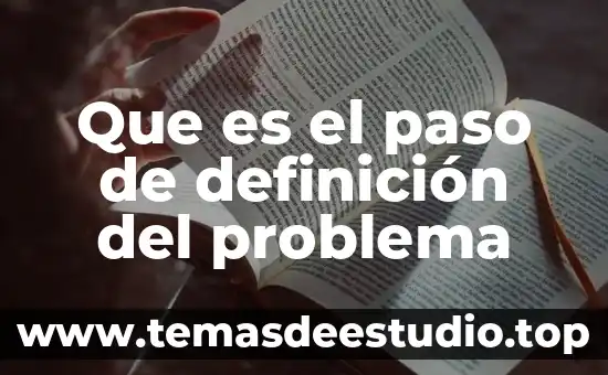 Que es el paso de definición del problema