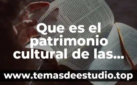 Que es diversidad cultural como valor 3 Que es el patrimonio cultural de las artes visuales