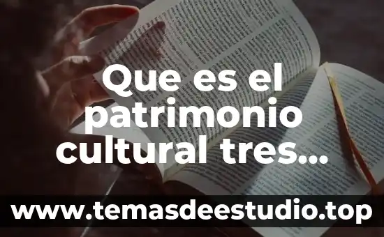 Que es diversidad cultural y cul es la inportancia 8 Que es el patrimonio cultural tres autores diferentes