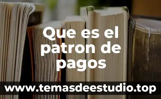 Que es el patron de pagos