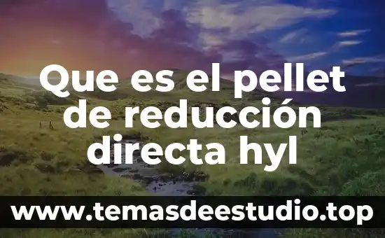 Inversión directa en México que es 5 Que es el pellet de reducción directa hyl
