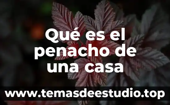 Que es la justicia y como se practica en casa 7 Qué es el penacho de una casa